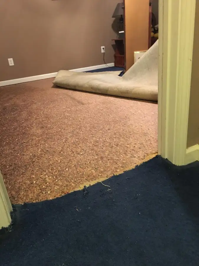 Carpet pad removal revealing water damage during Water Mitigation Services in River Grove