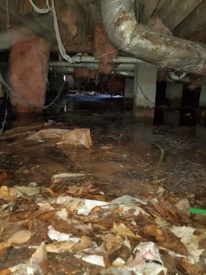 Crawl space flood assessment for Commercial Water Damage Restoration in River Grove